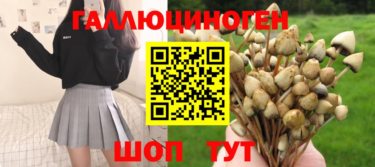 Галлюциногенные грибы MAGIC MUSHROOMS  Галлюциногенные грибы GOLDEN TEACHER  Луховицы  Вход с VPN 