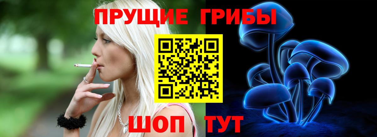 Псилоцибиновые грибы мицелий Луховицы